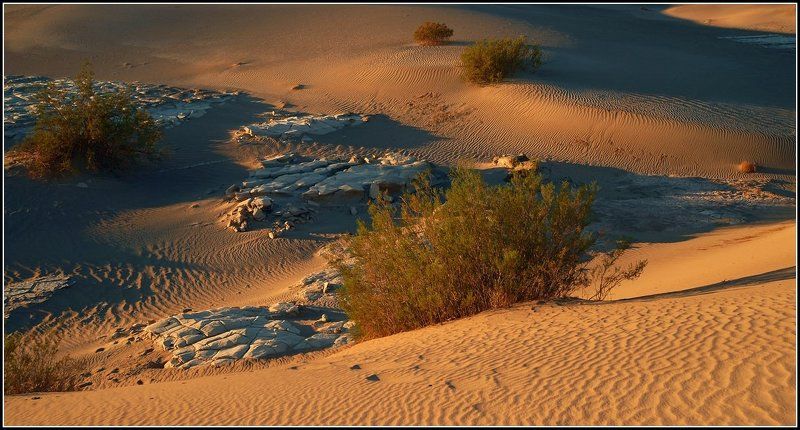 Долгая дорога в дюнахphoto preview