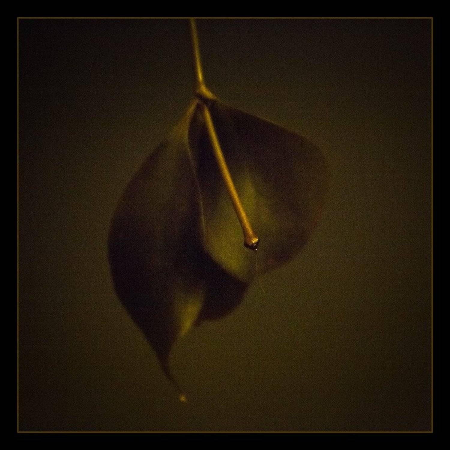 adobe, photoshop, lightroom, 3, beta, Сергей Милицкий