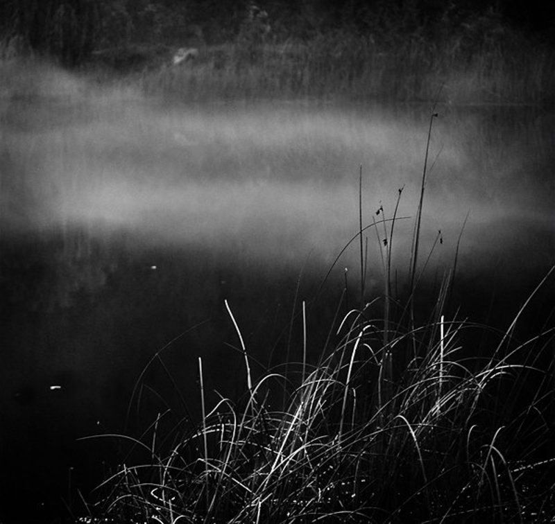 ** фото превью