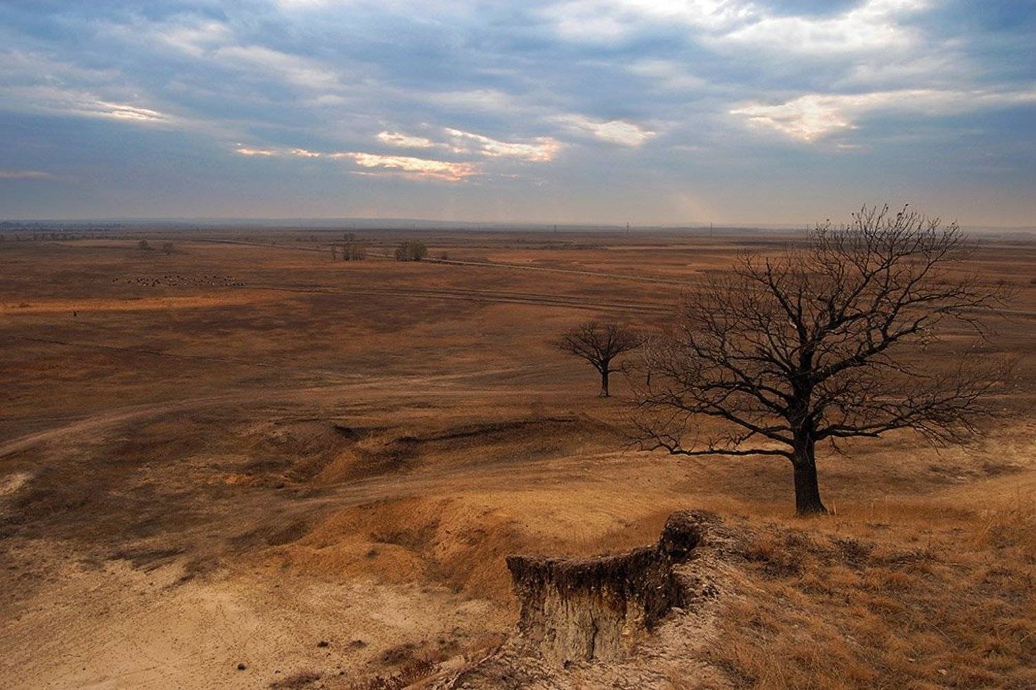 , Срибный Евгений