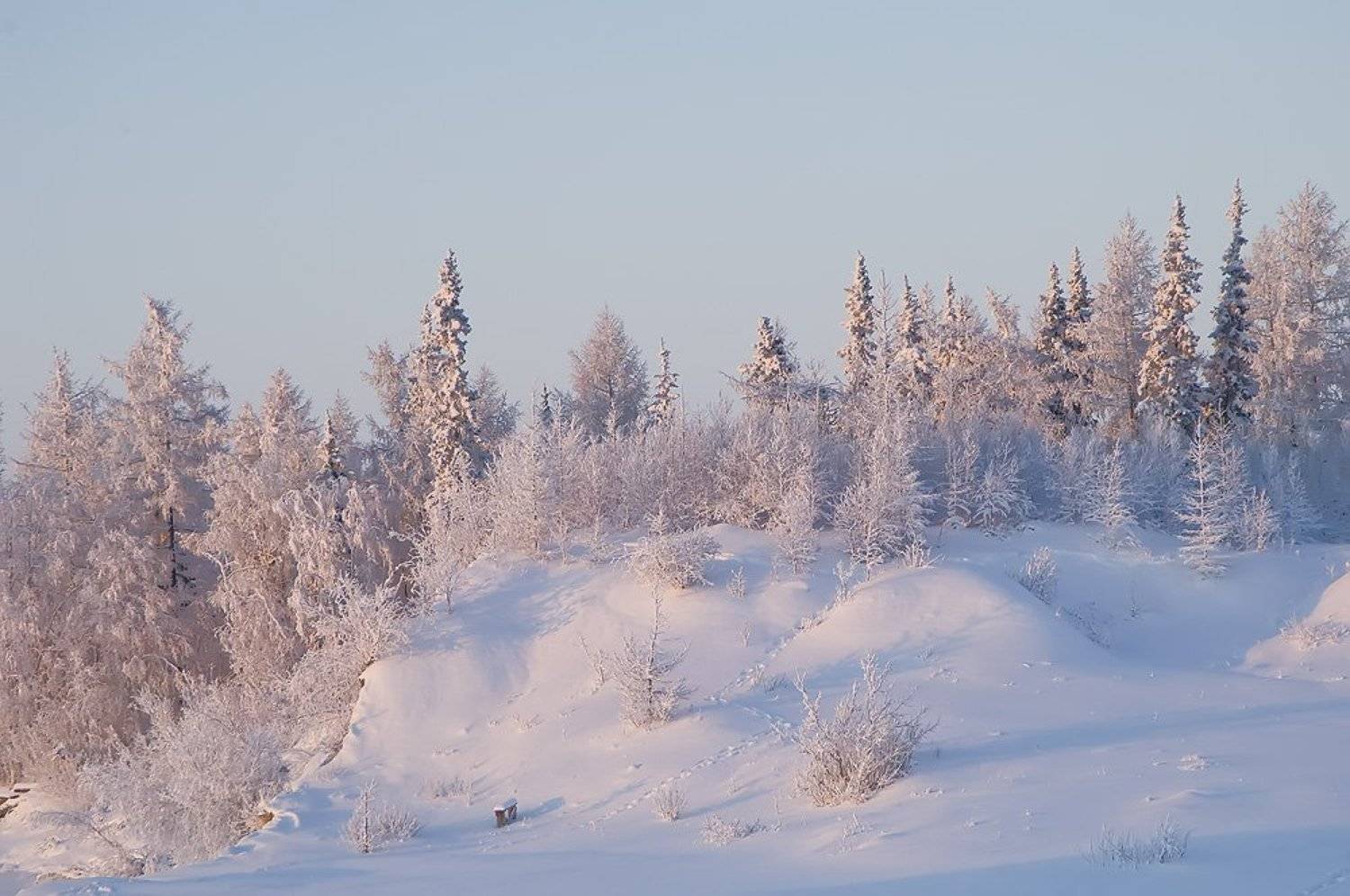 зимняя. Автор: Danil Husainov зимы прекрасные узоры, север, природа, пейзаж, Danil Husainov