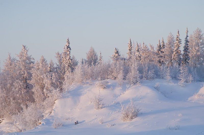 зимы прекрасные узоры, север, природа, пейзаж зимняяphoto preview