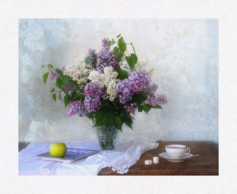 Still Life фото превью