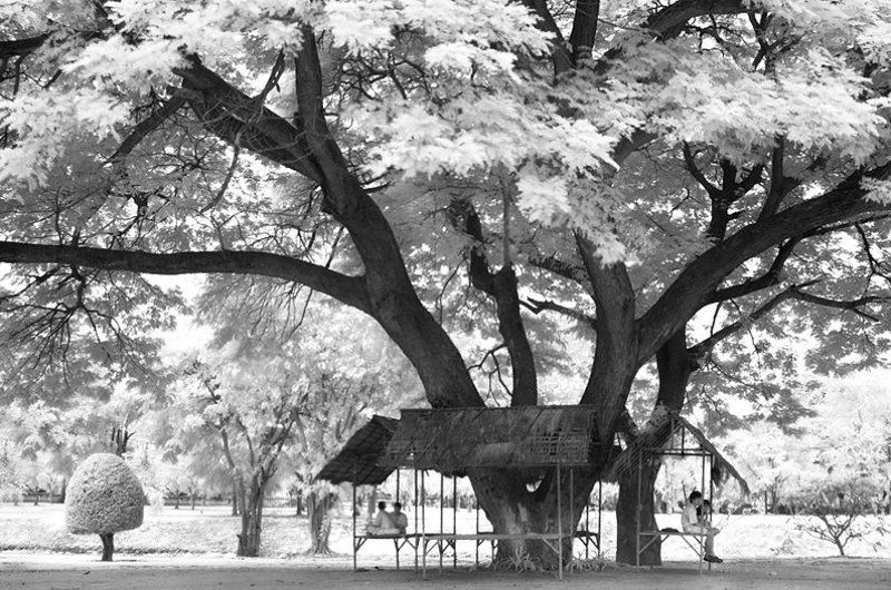 IR Aythaya фото превью