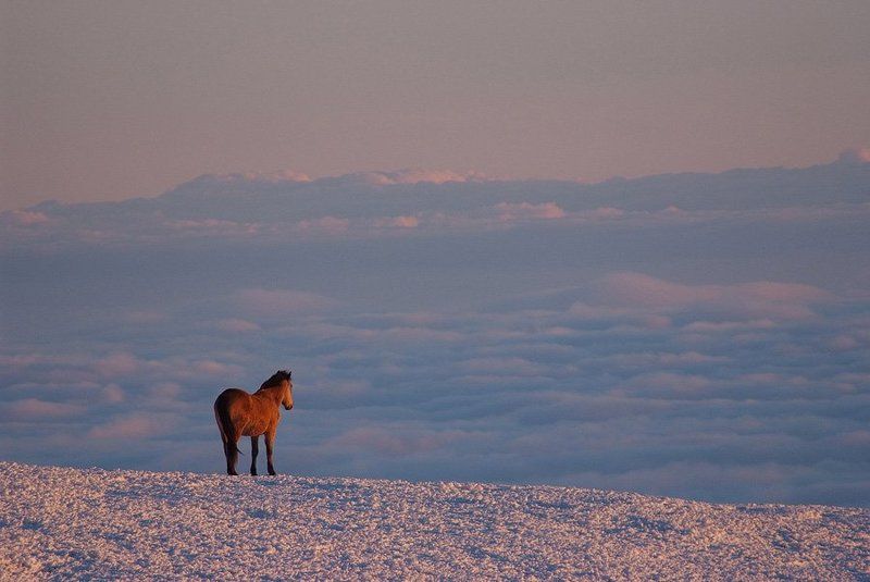 крым, облака, горы, лошадь, кони ***photo preview
