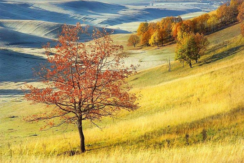 Осеньphoto preview