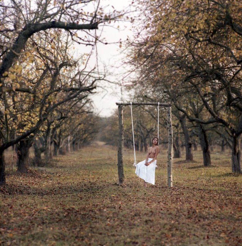 ... сладкий октябрьphoto preview