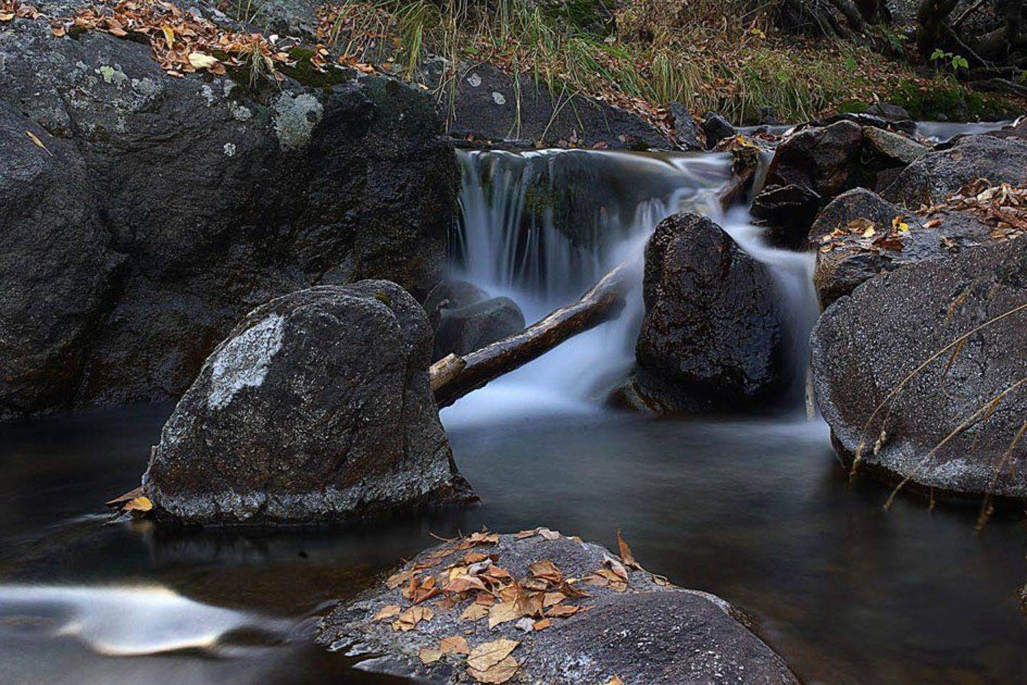 зарисовка. Автор: федор , федор