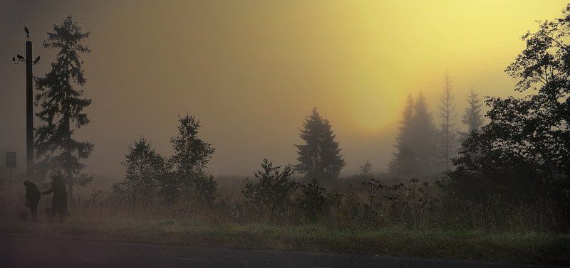 *Остановка по требованию*photo preview