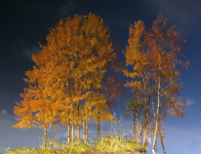 сентябрь, отражение, осень Лишь отражение в водеphoto preview