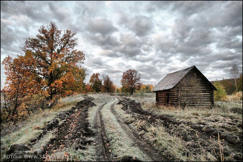 осень,соколки, И снова осень...photo preview