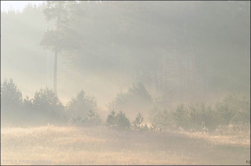 осень,дымка, дымка,photo preview