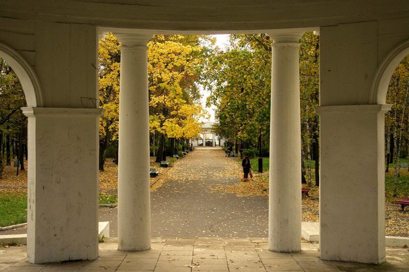 осень Осенне-симметричнаяphoto preview