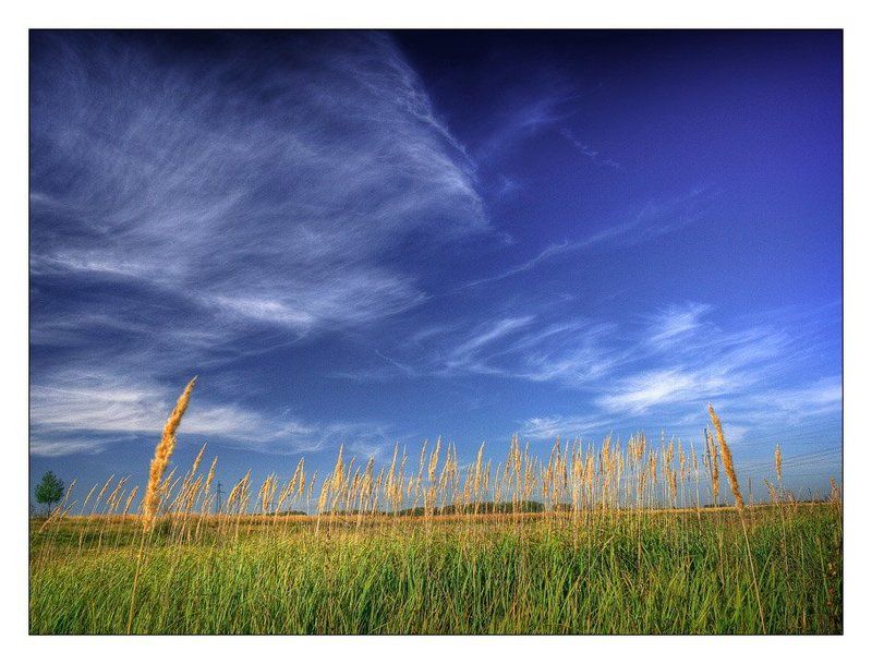 осень В начале сентябряphoto preview