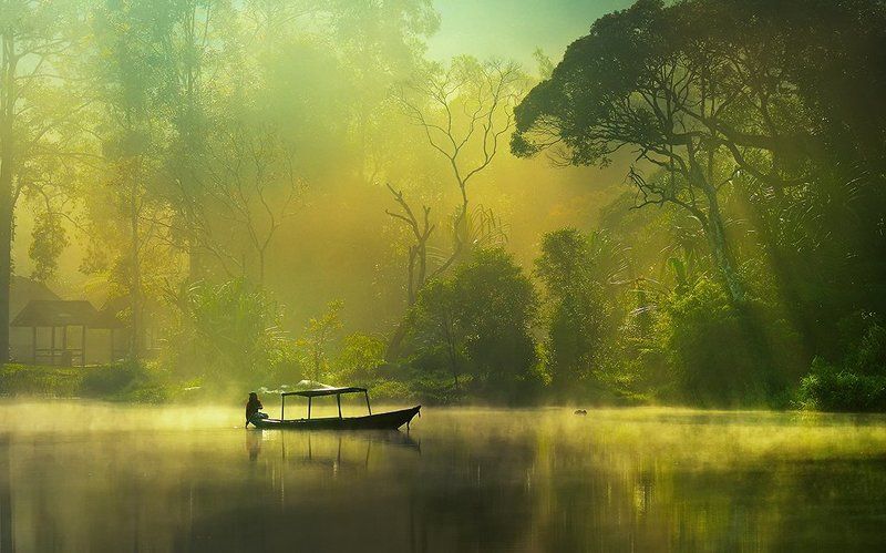 Lake, Morning, Natural light, Nature shades Morningphoto preview