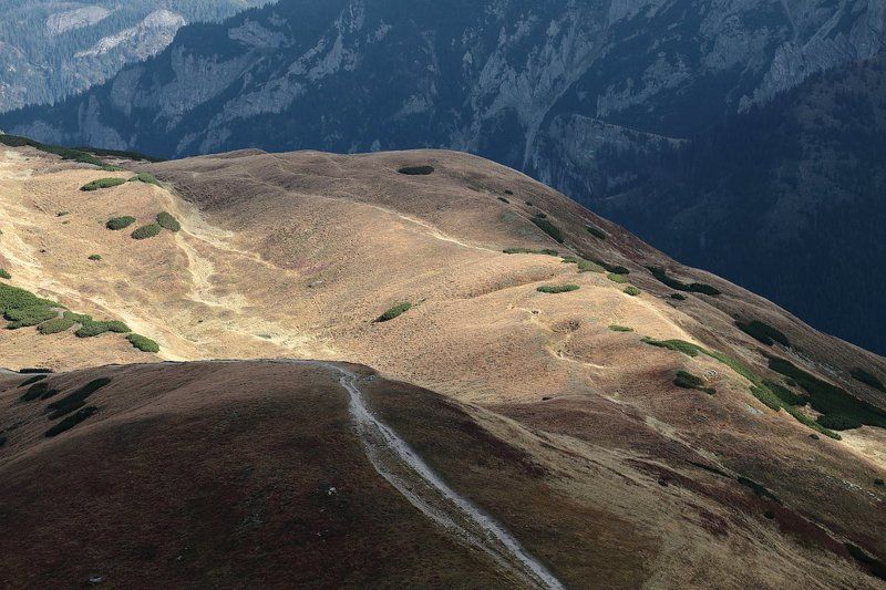 Ukojeniephoto preview