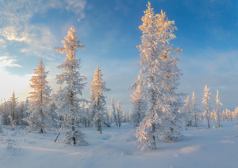 Закат, Зима, Ноябрь, Осень, Снег, Уренгой, Янао Закатphoto preview