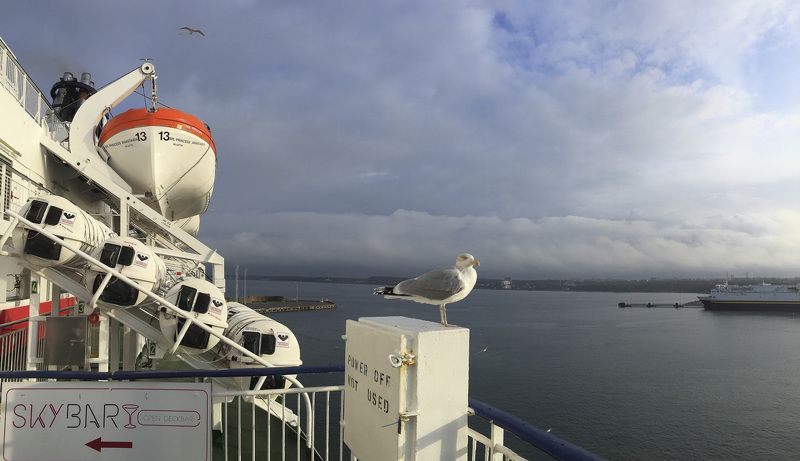 Таллиннphoto preview