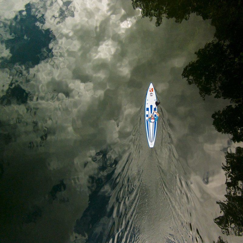 быть птицейphoto preview