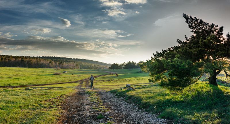 photos for trialphoto preview