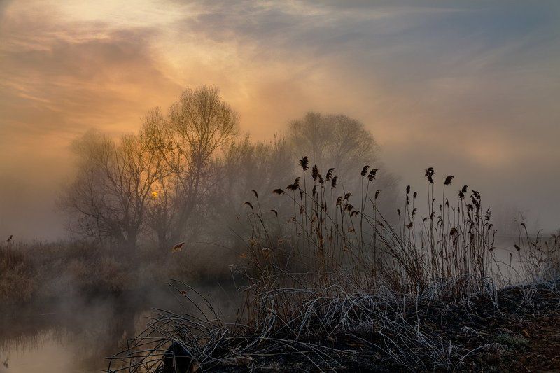 Ноябрь. Восход. Туманphoto preview
