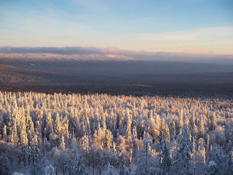 Нургаян Кутлиахметов, Russia