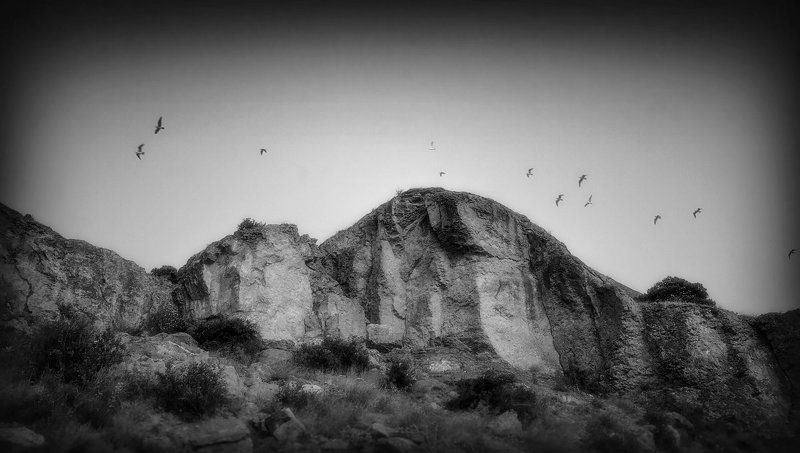 чайки, горы, вечер, черное, белое Пролетают...photo preview