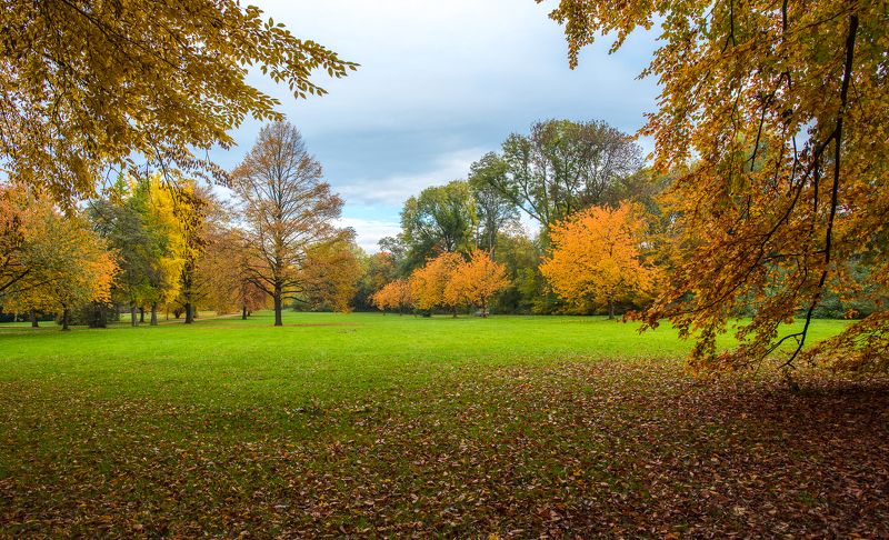 Девевья, Листва, Листья, Небо, Осень, Парк, Природа Осенний Вальс..photo preview