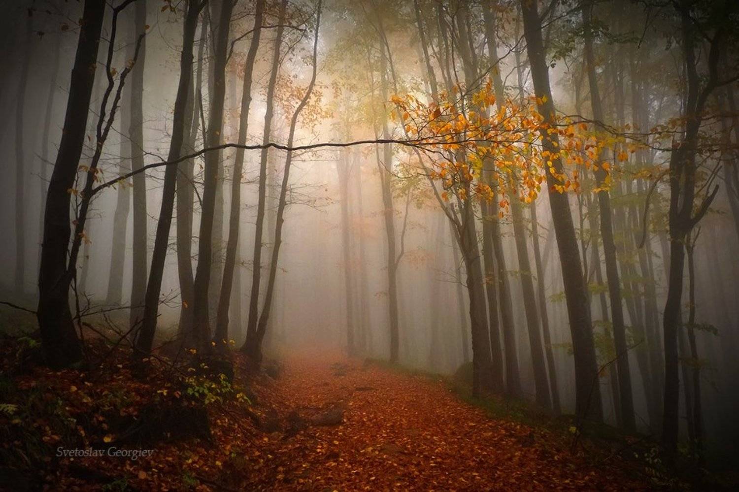 , Svetoslav Georgiev