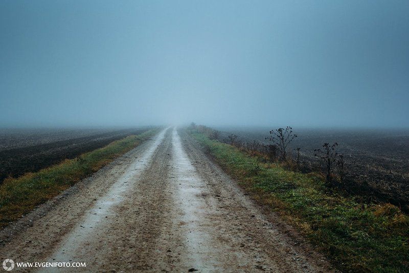 пейзаж,туман,дорога,поле,природа,осень Дорога в некудаphoto preview