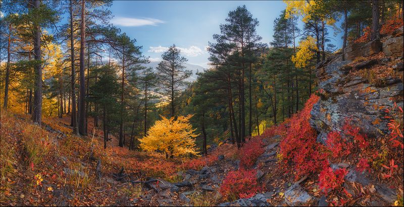 Краски осеннего Архызаphoto preview