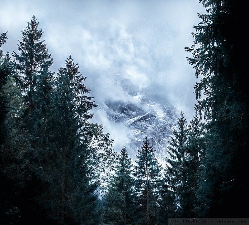 bavaria, clouds, fog, forest, germany, mist, mountains, snow, vertex, zugspitze, бавария, вершина, германия, горы, лес, облака, снег, туман, цугшпитце .photo preview