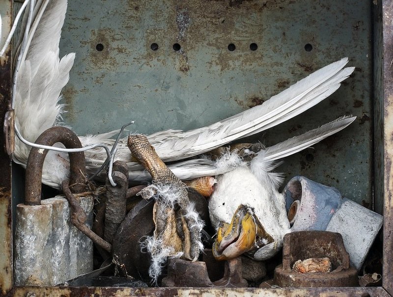 still, life Положение вещейphoto preview