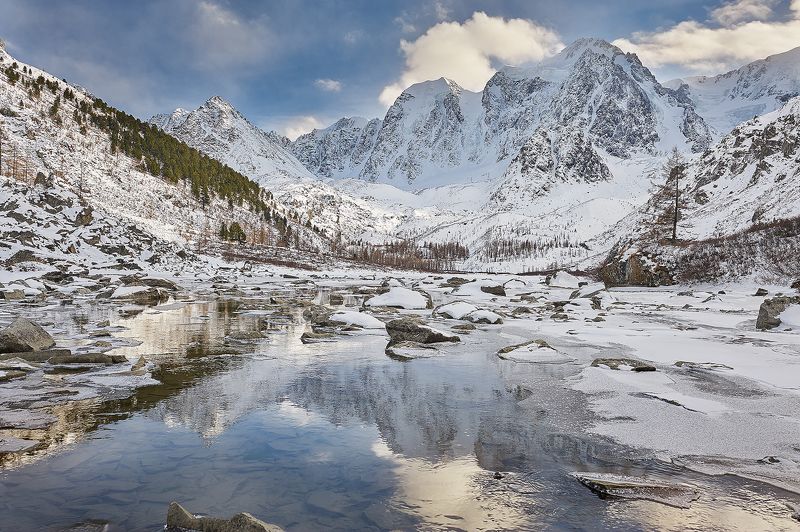 Шавла зимойphoto preview