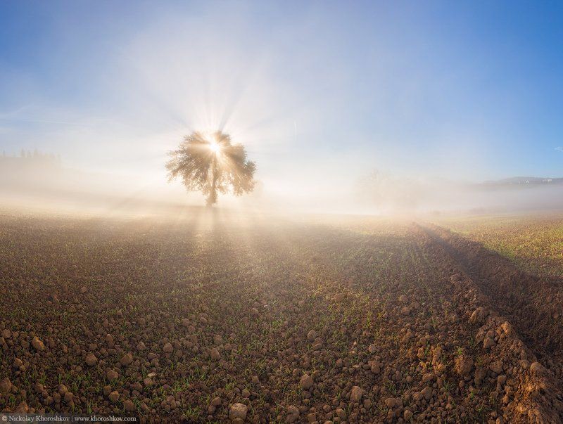 Италия, Пейзаж, Природа, Рассвет, Тоскана Утренний светphoto preview