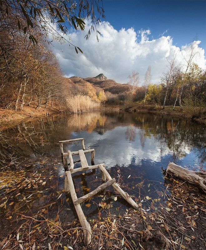 Остатки золотой осениphoto preview