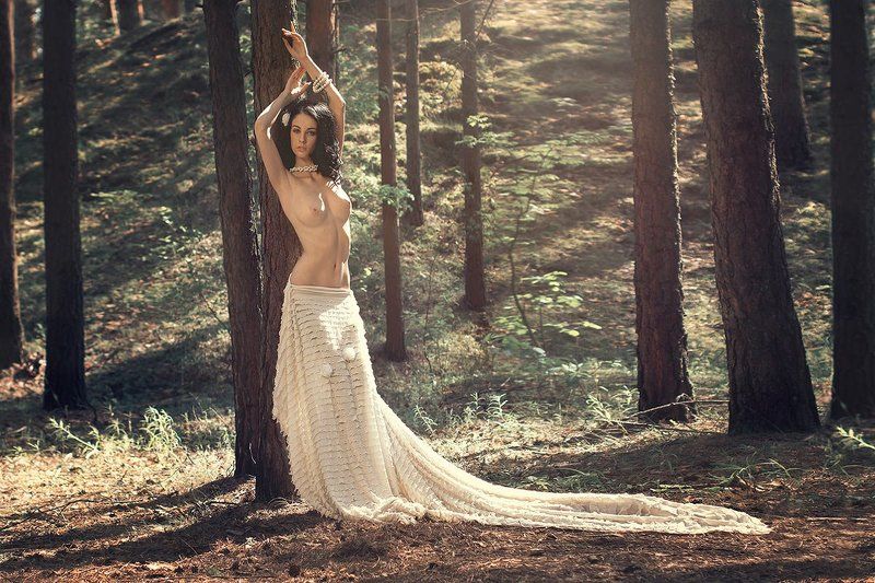 Таинственный лесphoto preview