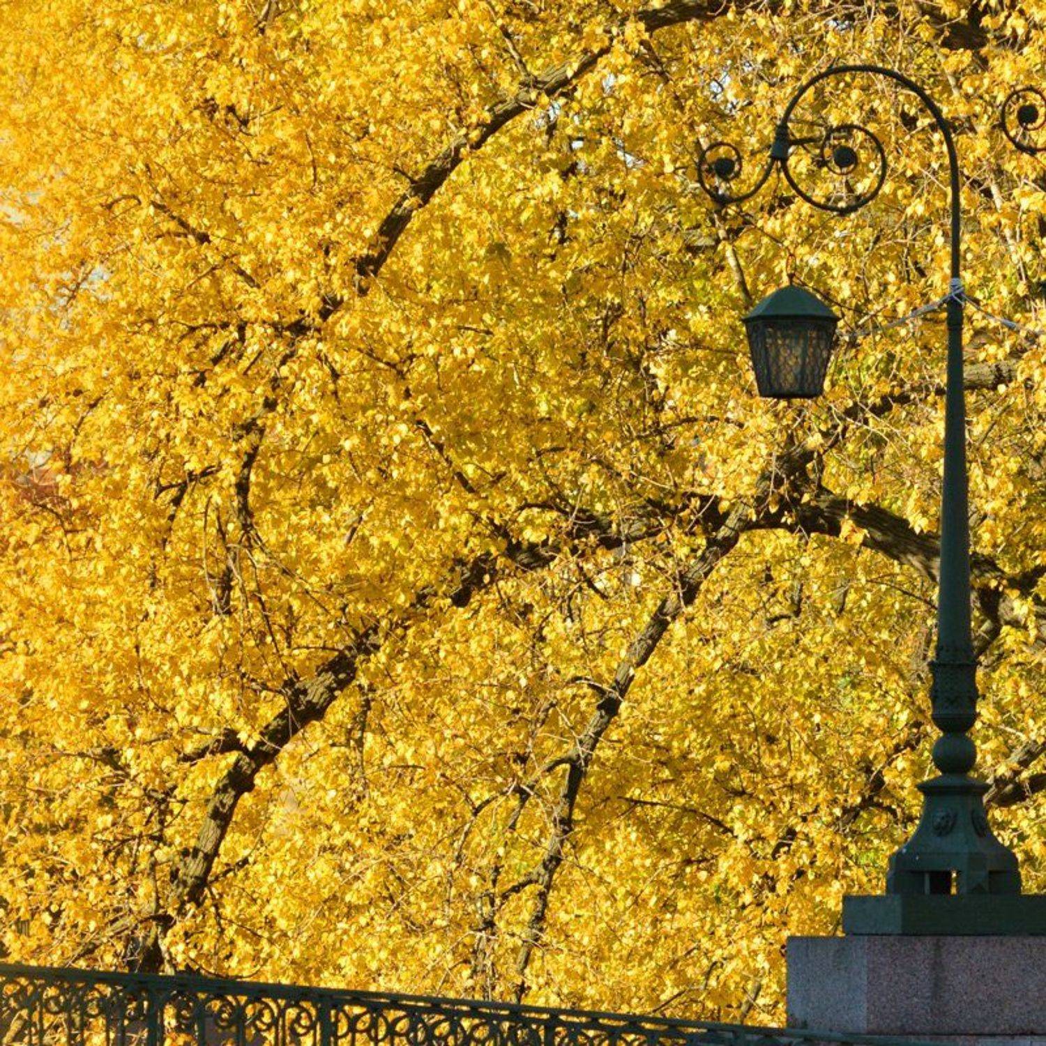 , Александр Алексеев 881