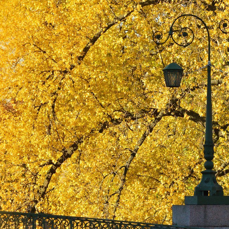 Осенний фонарьphoto preview