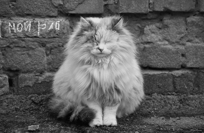 Мой рай...photo preview