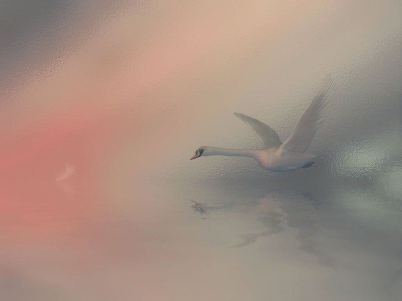 коллаж Немного романтики...photo preview