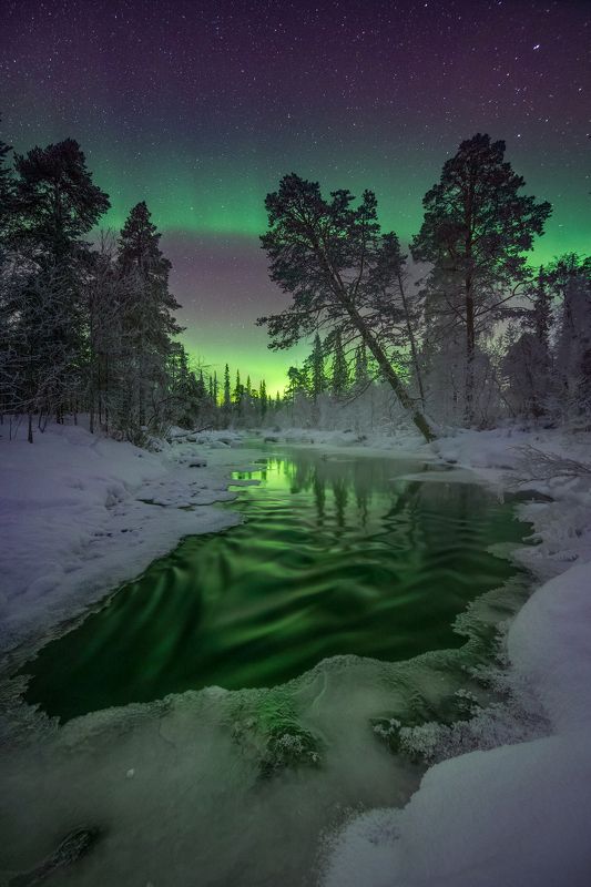 Изумрудная река.photo preview