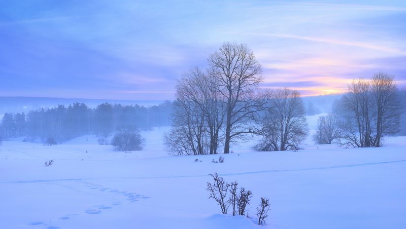 Март.photo preview