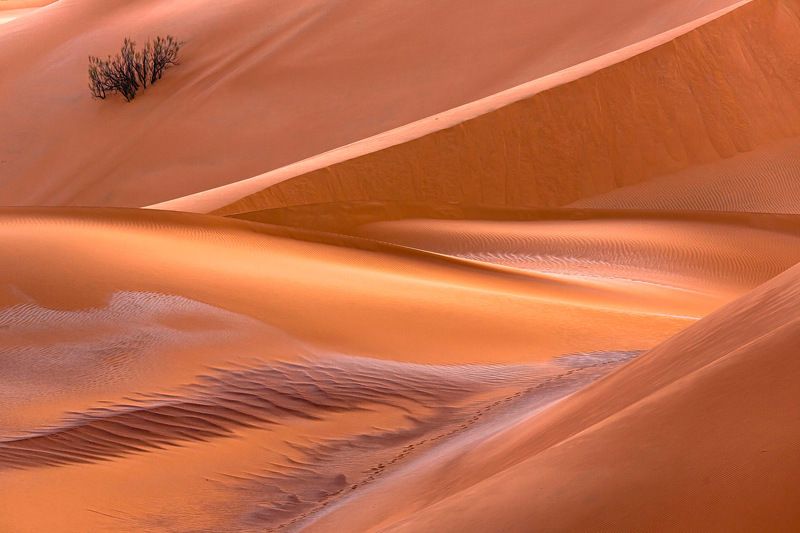 Нежность Песков фото превью