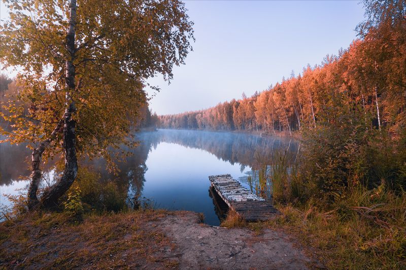 У лесного озераphoto preview