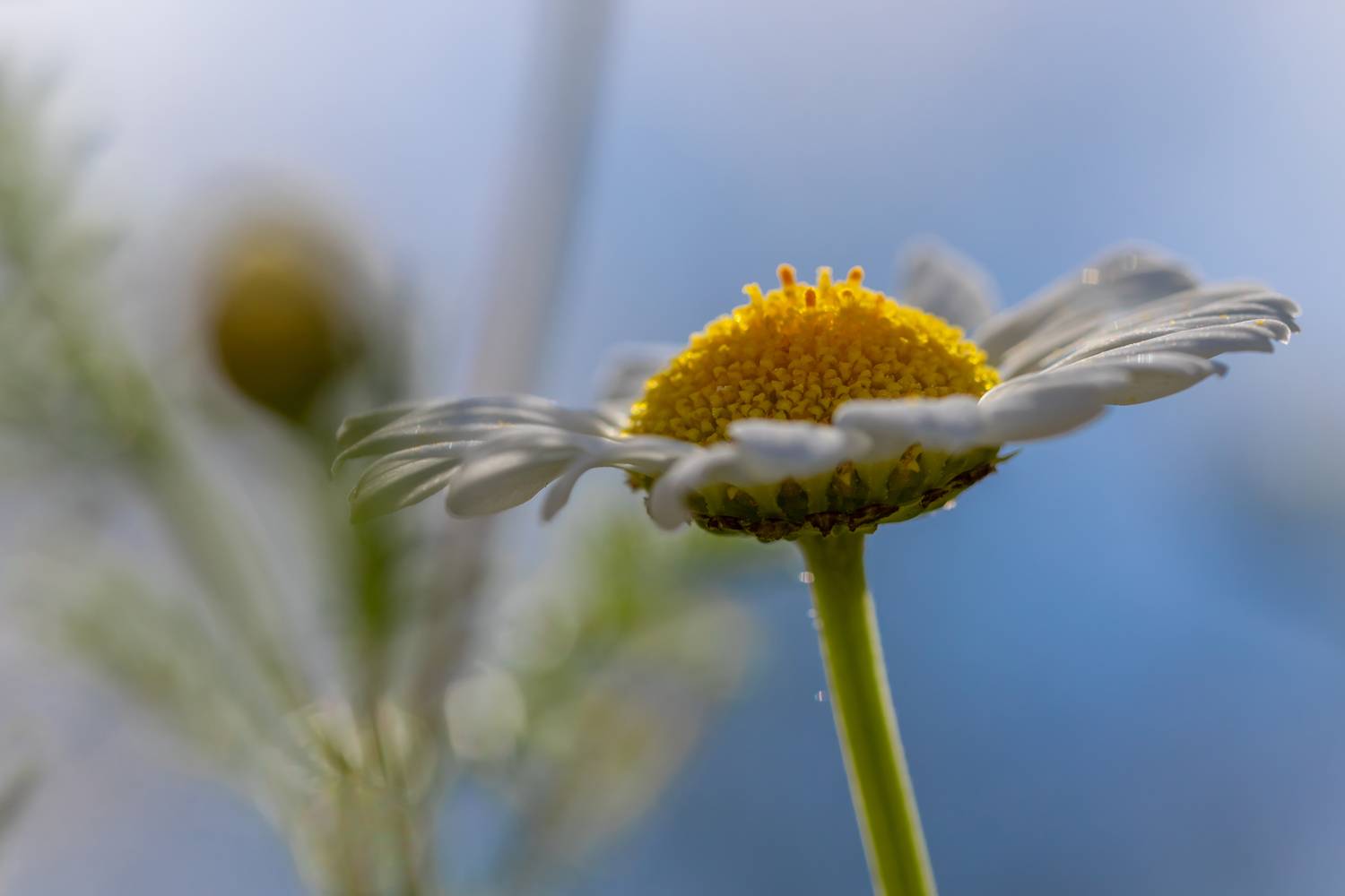 Автор: Nikolay Tatarchuk , Nikolay Tatarchuk