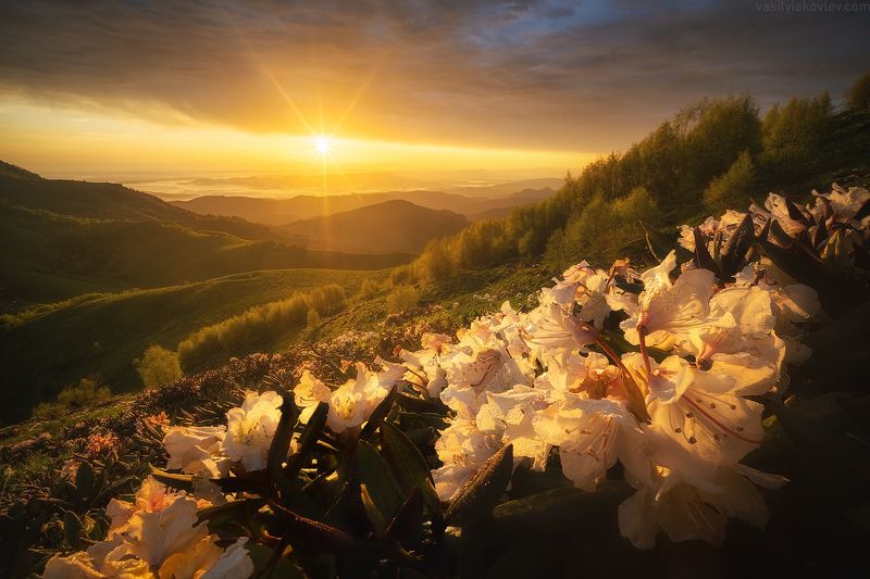 большойтхач, фототур, яковлевфототур, тхач, кавказ, адыгея, поход Большой Тхачphoto preview