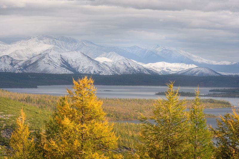 колыма, озеро джека лондона, золотая осень, магаданская область \