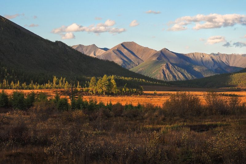 Начало осениphoto preview