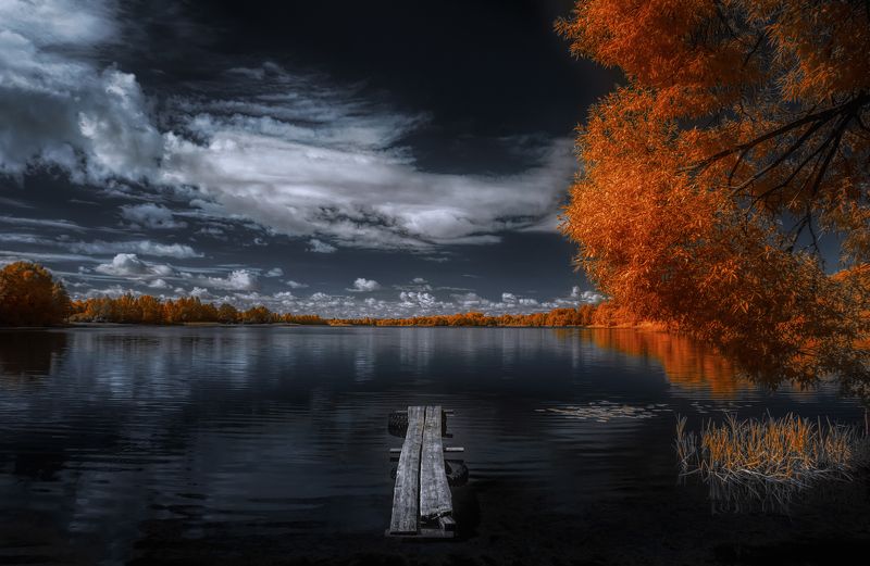 Один шагphoto preview